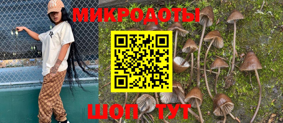 Кондопога  Псилоцибиновые грибы Psilocybine cubensis  Вход с VPN 